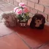 dy1tyuijynbd