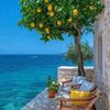 mohammedfawzy963