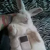 expiredxanax