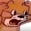 dy3rqrb5og4o