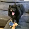 fredmpsc