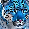 shakibshakib482