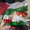 shahsepet87