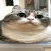 noxfix_edit