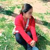 nandaxetri6