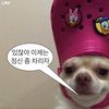 chabsoh