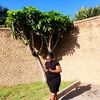 tendaniladytee