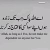 salmanahmad.32