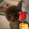 ayaaaww0_0