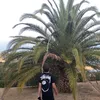 fritsch_noa