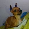 soloamorporlavida