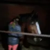 csak_bacardi