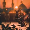 رَبِّ اغْفِرْ لِي وَلِوَالِدَي