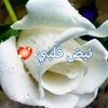 mneer.gmail