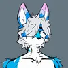 bluxxsnow