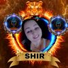 shirleygamboa829