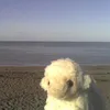 tinsies_