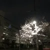 dyu6vspdpt6h
