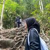 nrin_.3