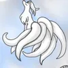squidandgaze