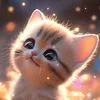 chimeo_giayxinh