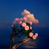 tuyetloangmail.com2