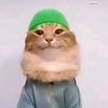 gregrydude