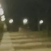 hogodogo23