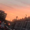 _stacey3200