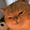 o_oo_o0_1