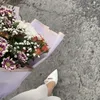 تـاڤی،