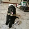 sirius_theshepherd