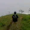wabbiao