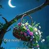 elisandra12darros