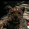 talha_ozcelikss211