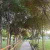 FFI