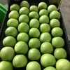 producatoragricol3