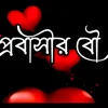 samira12864