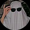 habib263738