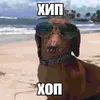 firstdym