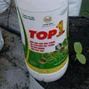 Vì Một Mùa Vàng