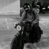 whoissabo4