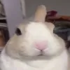 meojinnn