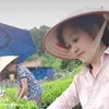 trinhdiep74tn