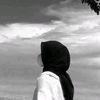 nfsalyaz