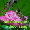 cch.n.gin