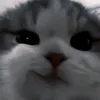 khhwrt_2