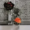 hajarbahra