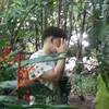 guilhermeixz