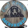 CoolRunninDachshunds